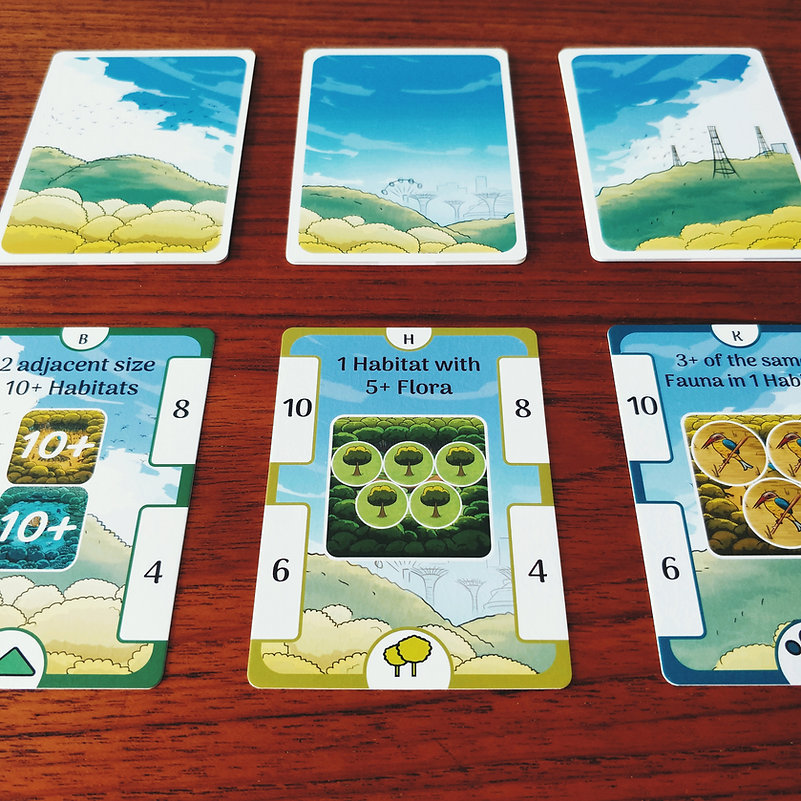 RainForest City cards in playing area