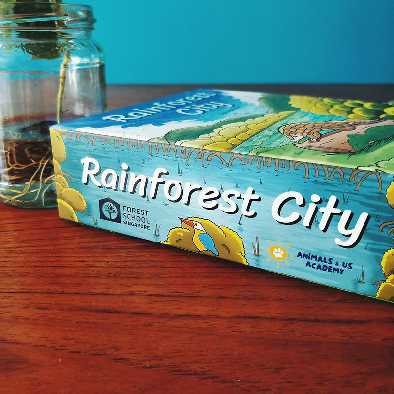 RainForest City side of the box