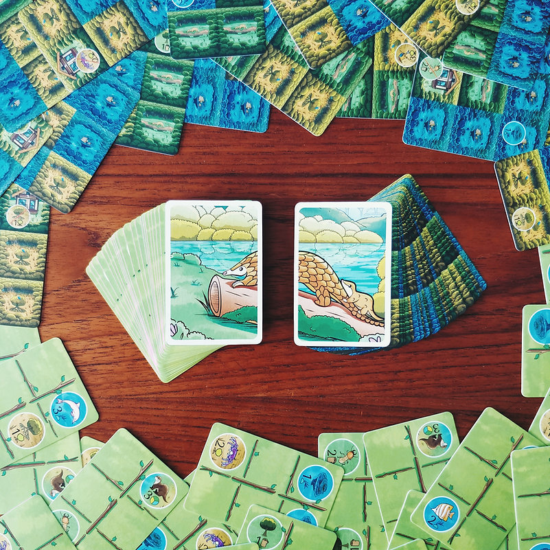 RainForest City cards with lifestyle