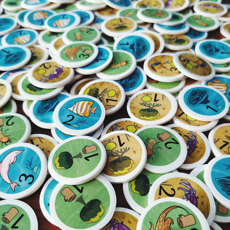 RainForest City Token