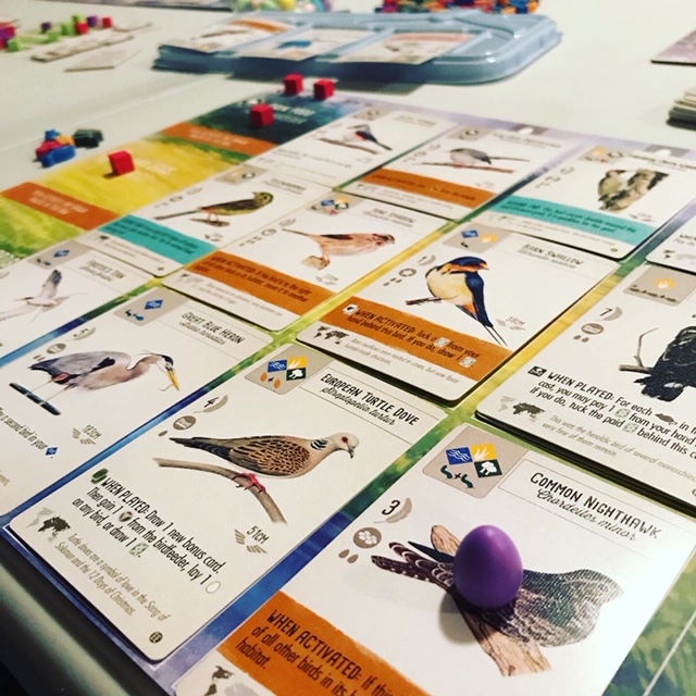 Wingspan European Expansion new bird cards