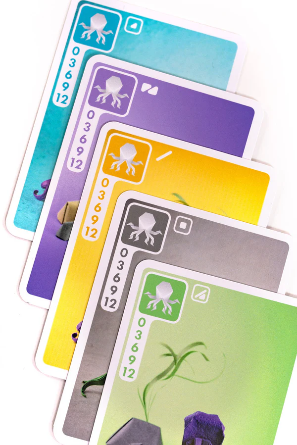 Sea Salt & Paper - Image 5